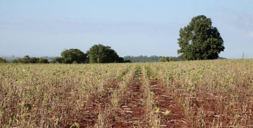Julho terá temperaturas elevadas e chuvas desiguais, prevê o Inmet